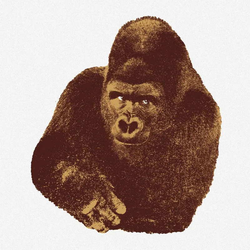 Quindici, il Gorilla - Danese Milano