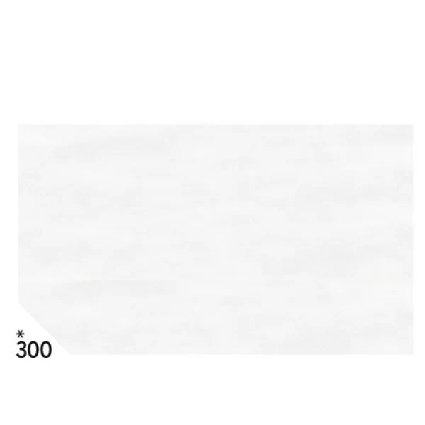 Carta velina - 50 x 70cm - bianco - busta 26 fogli