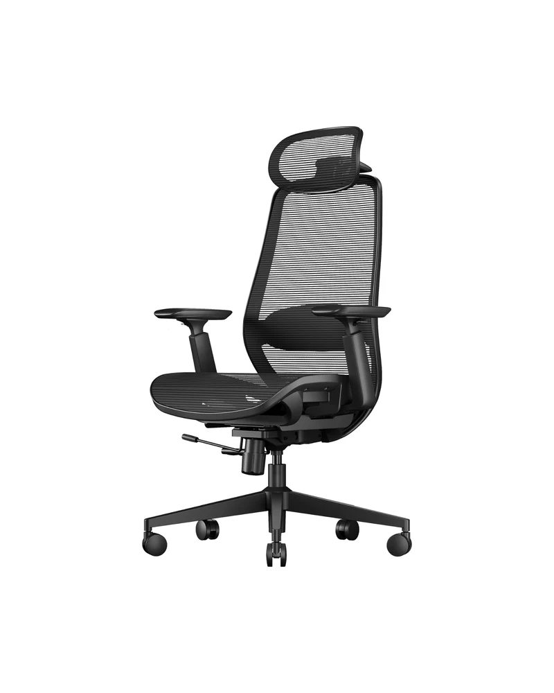 EC200 Pro Ergonomic Office Chair