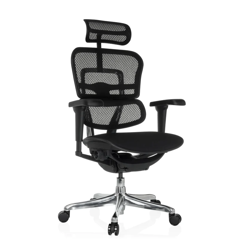 ERGOHUMAN ULTRA F GEN2 tessuto/mesh - Poltrona di lusso