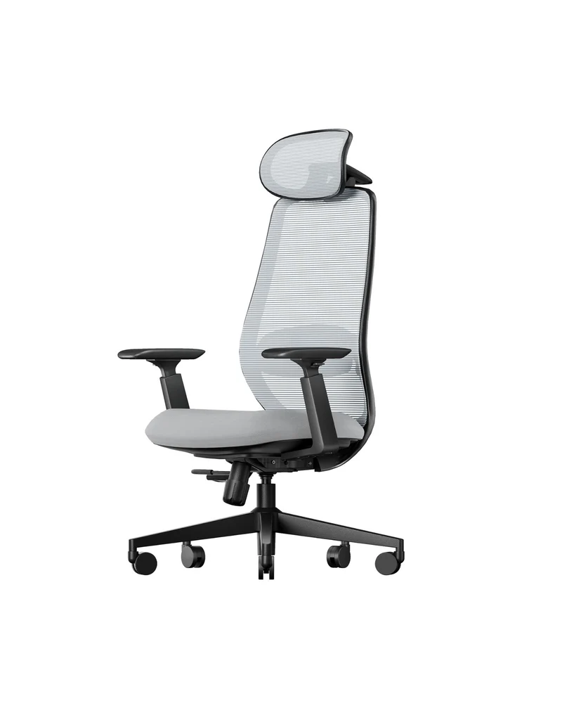 EC200 Ergonomic Office Chair