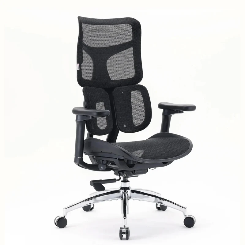 S100-M301 | Sihoo - Sedia da ufficio professionale