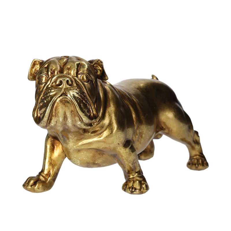 Bulldog Dorato